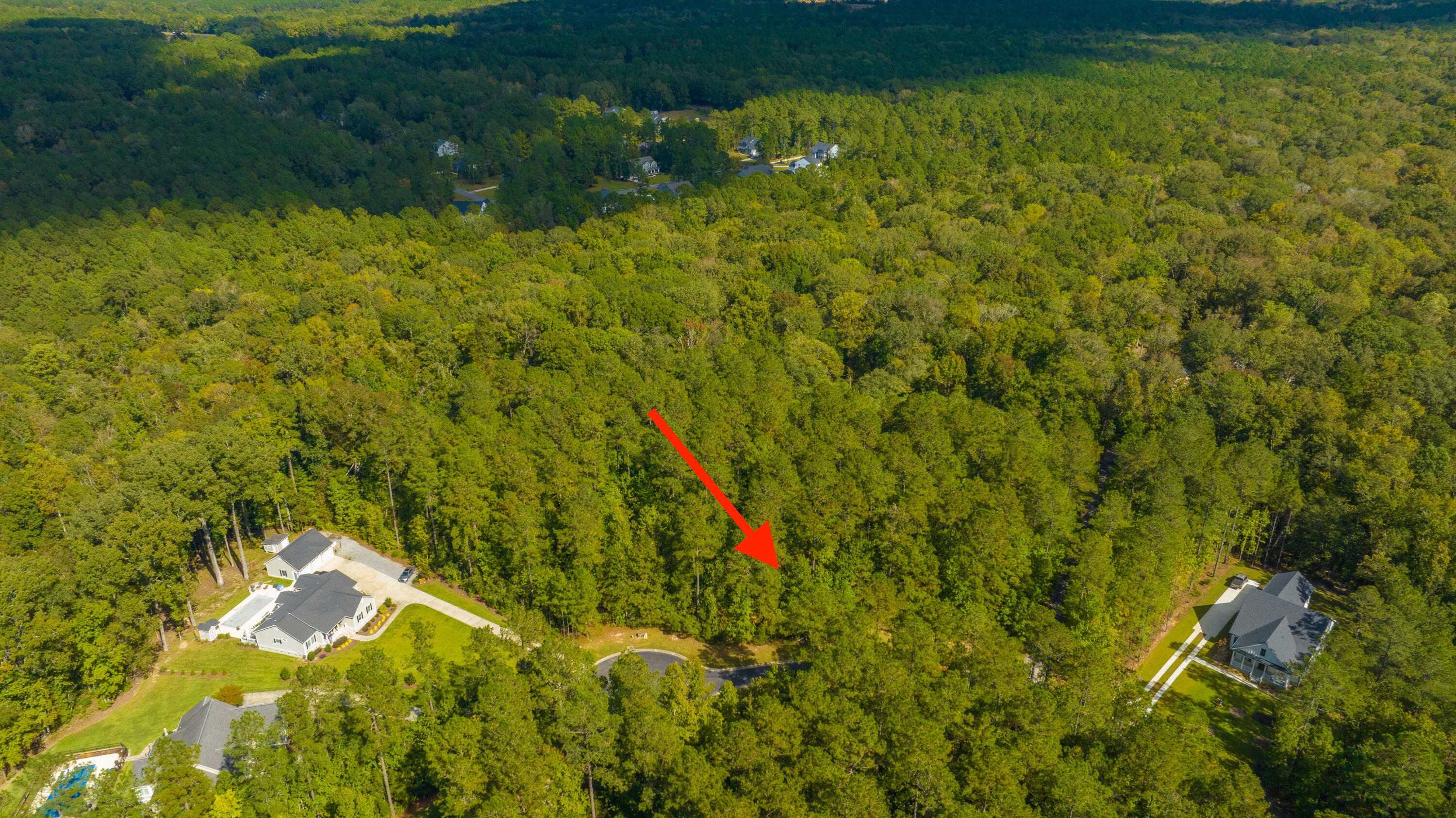 2012 Briar Bend Road Ridgeville, SC 29472 - Photo 26 of 42 2012BriarBendRd015