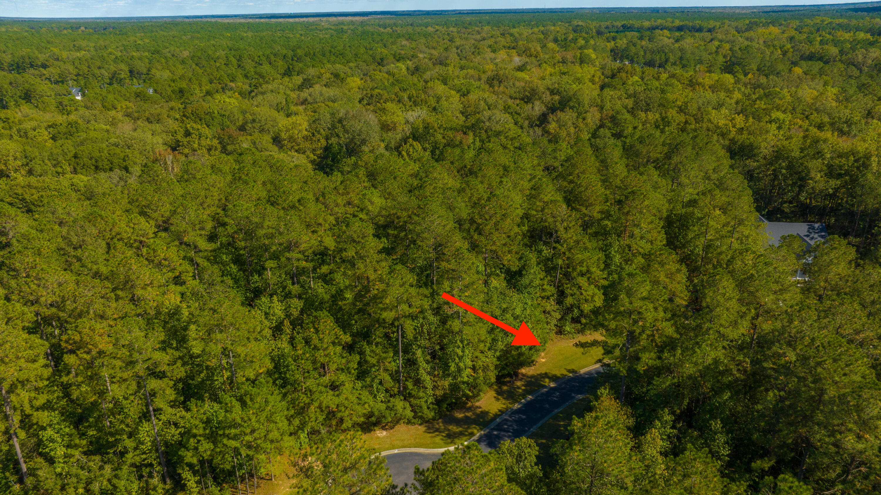 2012 Briar Bend Road Ridgeville, SC 29472 - Photo 29 of 42 2012BriarBendRd041