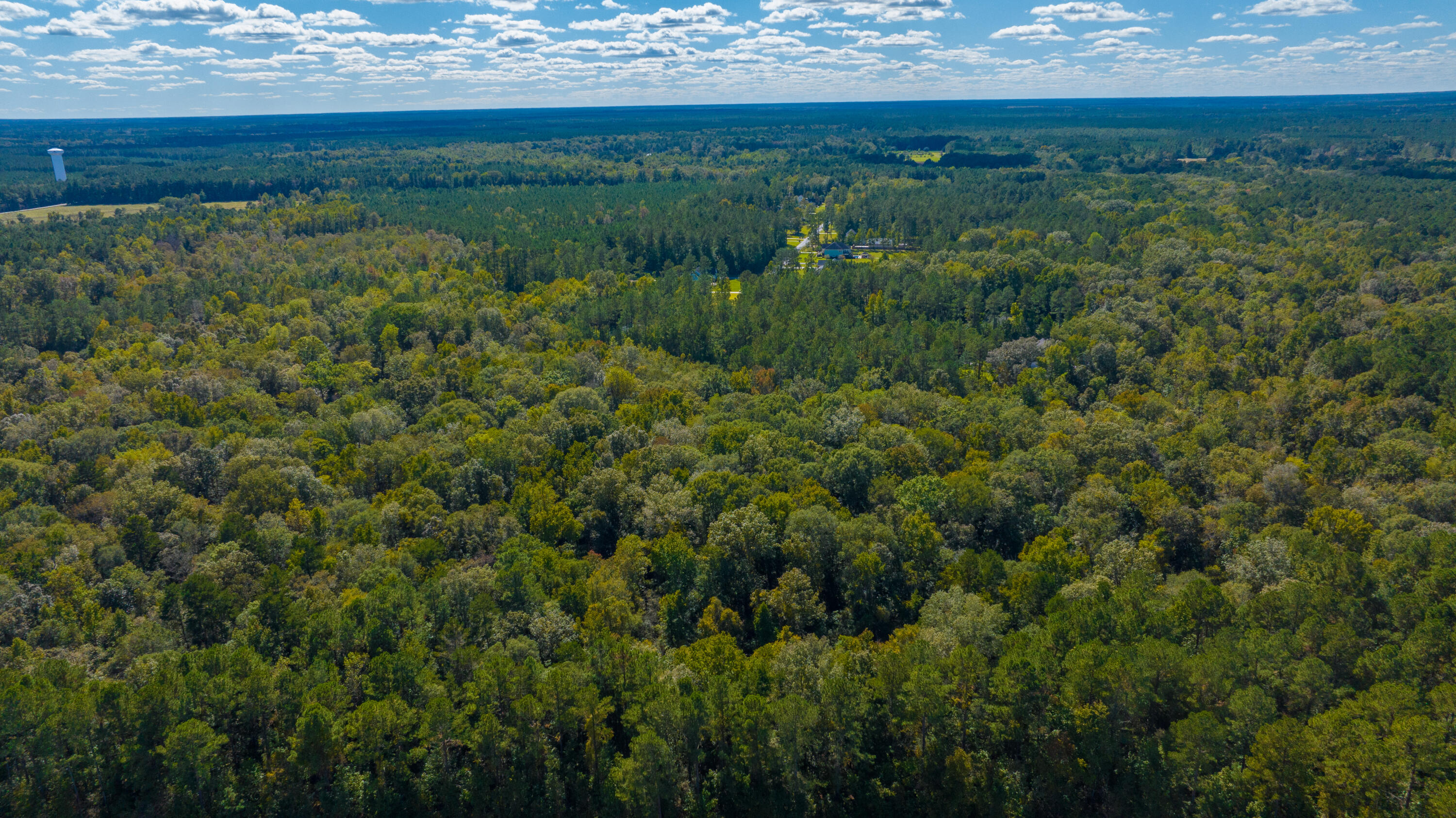 2012 Briar Bend Road Ridgeville, SC 29472 - Photo 31 of 42 2012BriarBendRd036