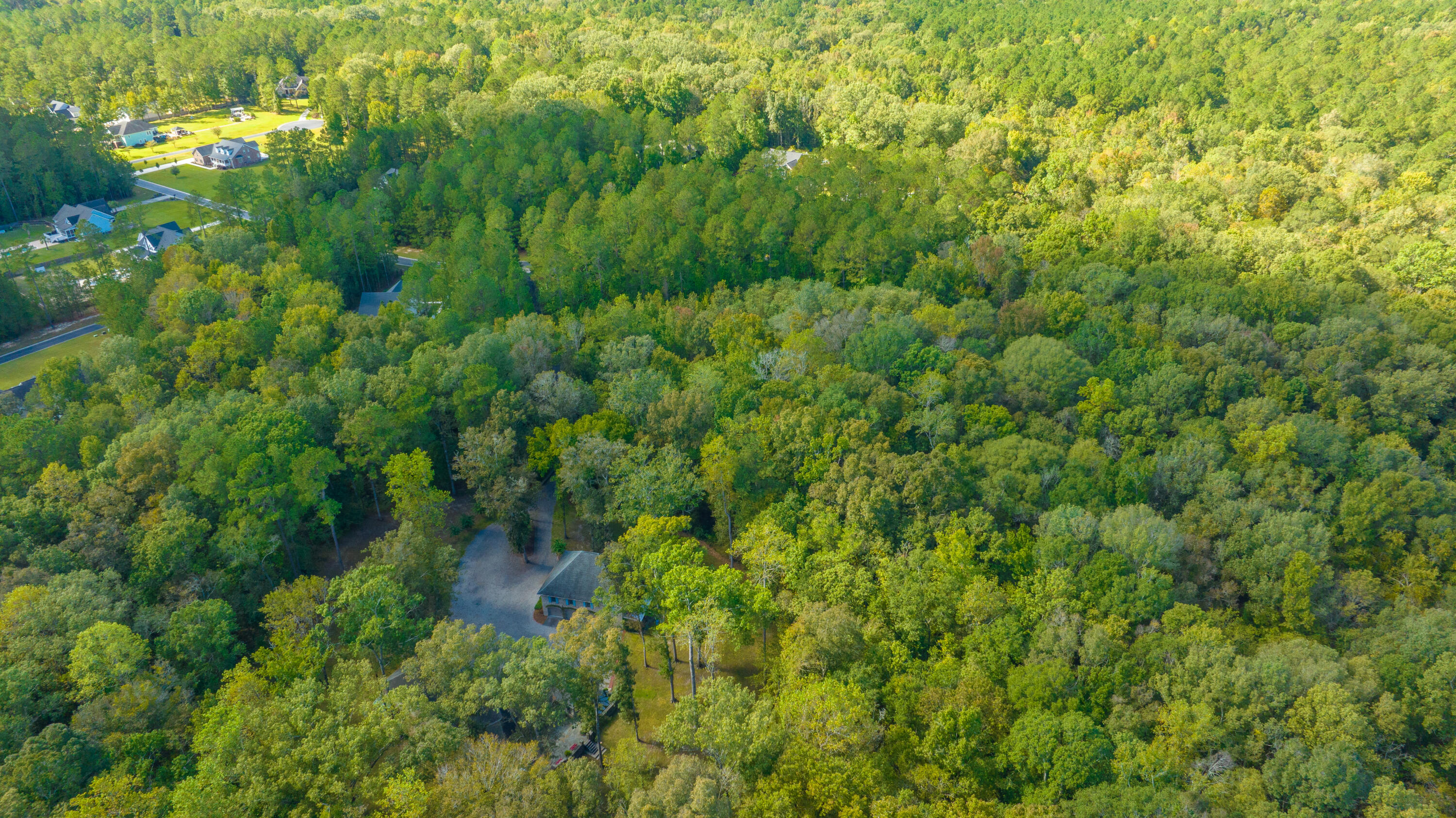 2012 Briar Bend Road Ridgeville, SC 29472 - Photo 36 of 42 2012BriarBendRd029