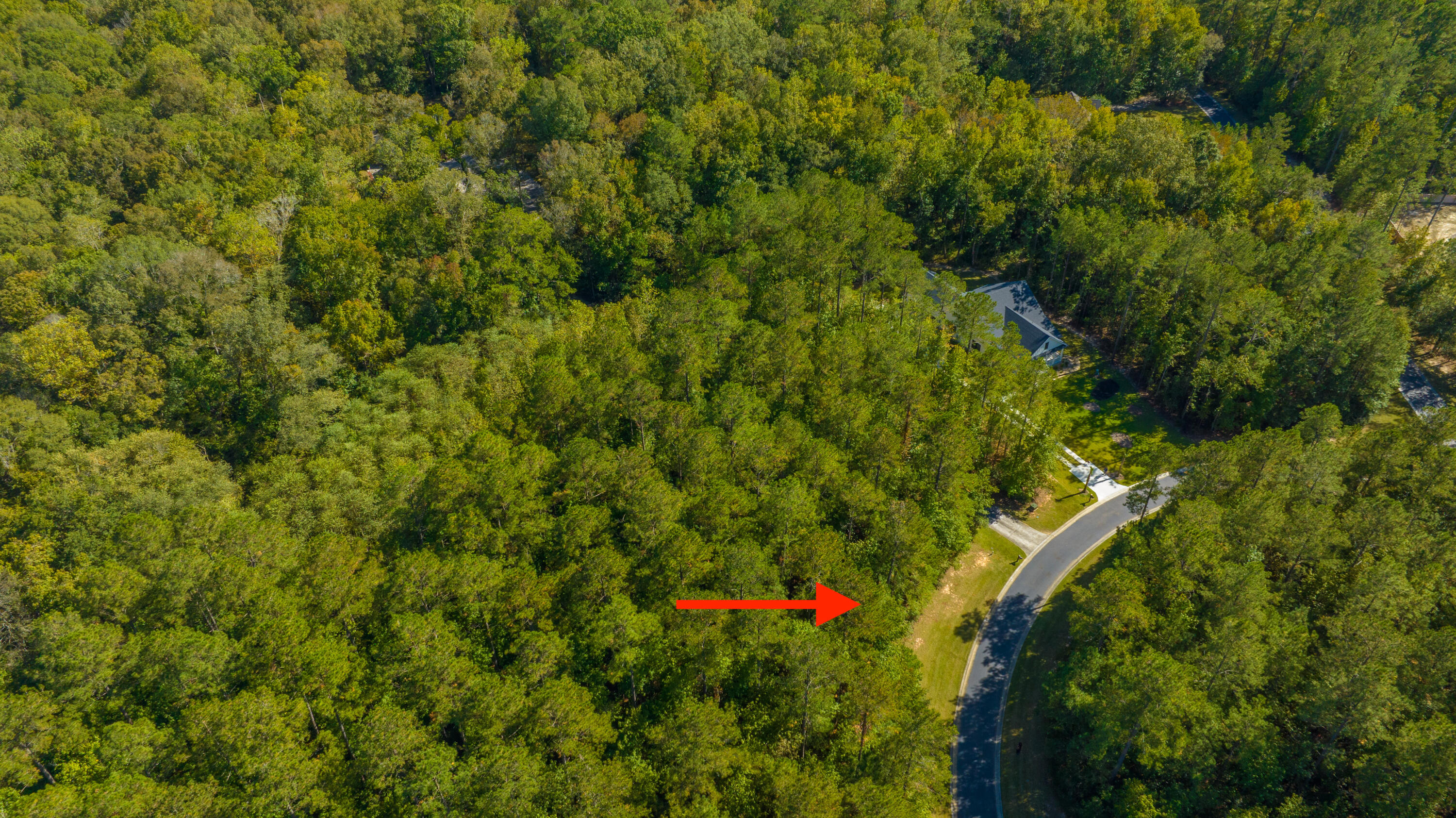 2012 Briar Bend Road Ridgeville, SC 29472 - Photo 41 of 42 2012BriarBendRd034