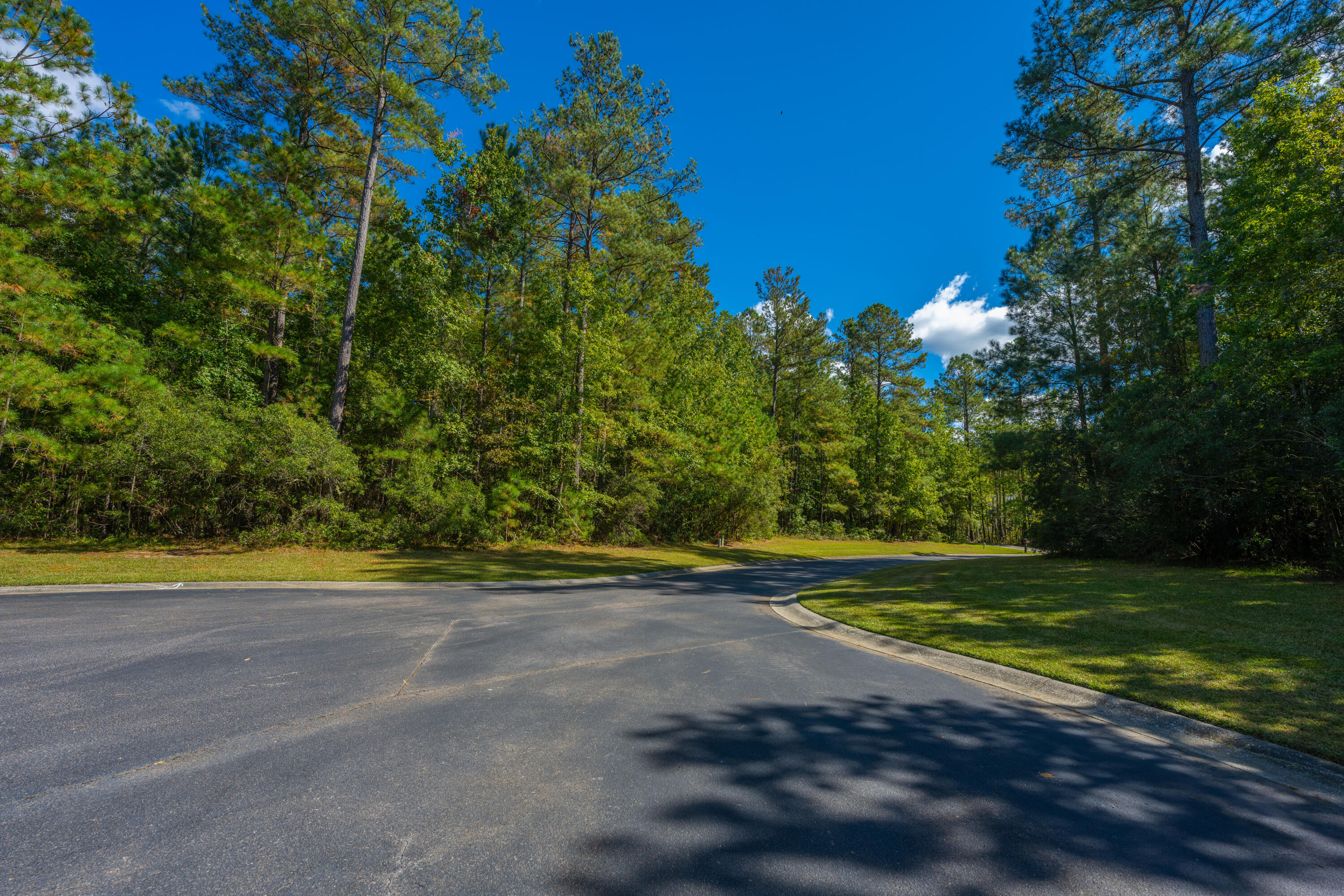 2012 Briar Bend Road Ridgeville, SC 29472 - Photo 5 of 42 2012BriarBendRd005