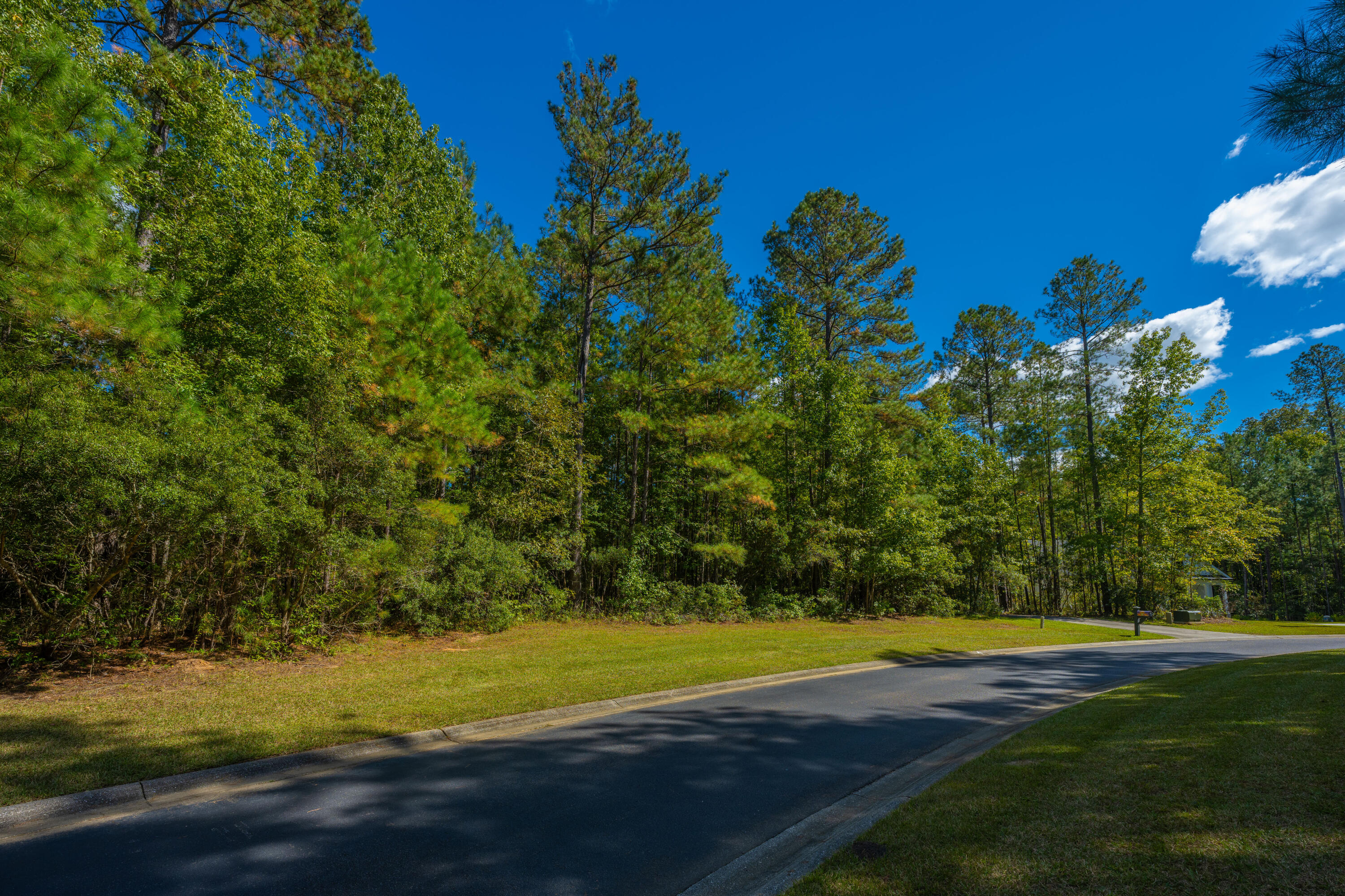 2012 Briar Bend Road Ridgeville, SC 29472 - Photo 6 of 42 2012BriarBendRd007