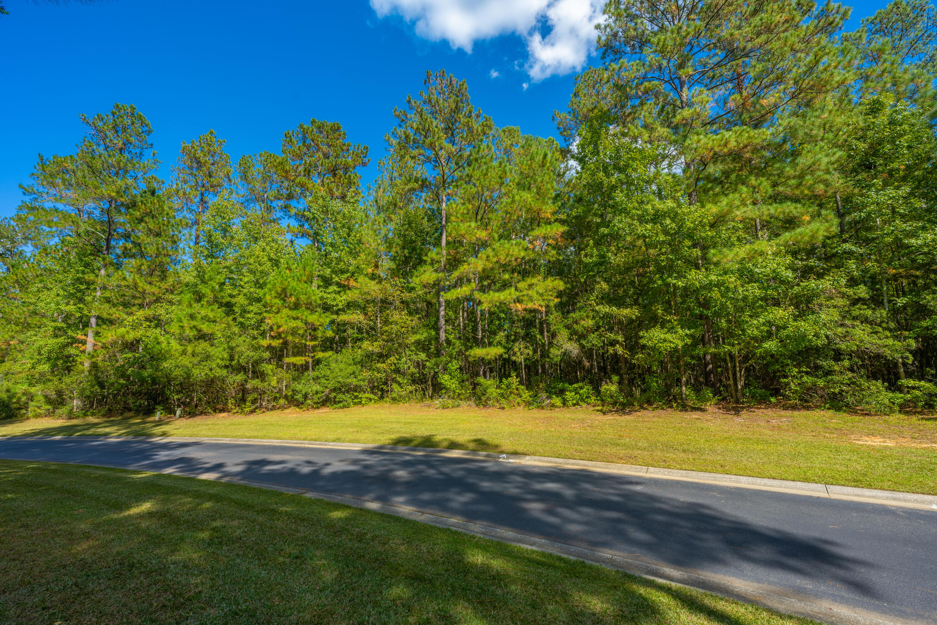2012 Briar Bend Road Ridgeville, SC 29472 - Photo 7 of 42 2012BriarBendRd012