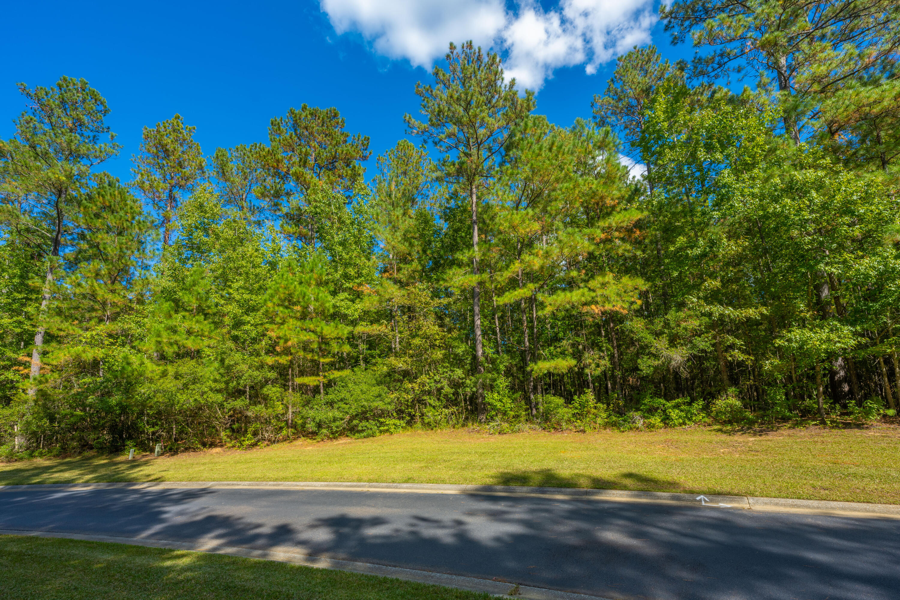 2012 Briar Bend Road Ridgeville, SC 29472 - Photo 8 of 42 2012BriarBendRd011