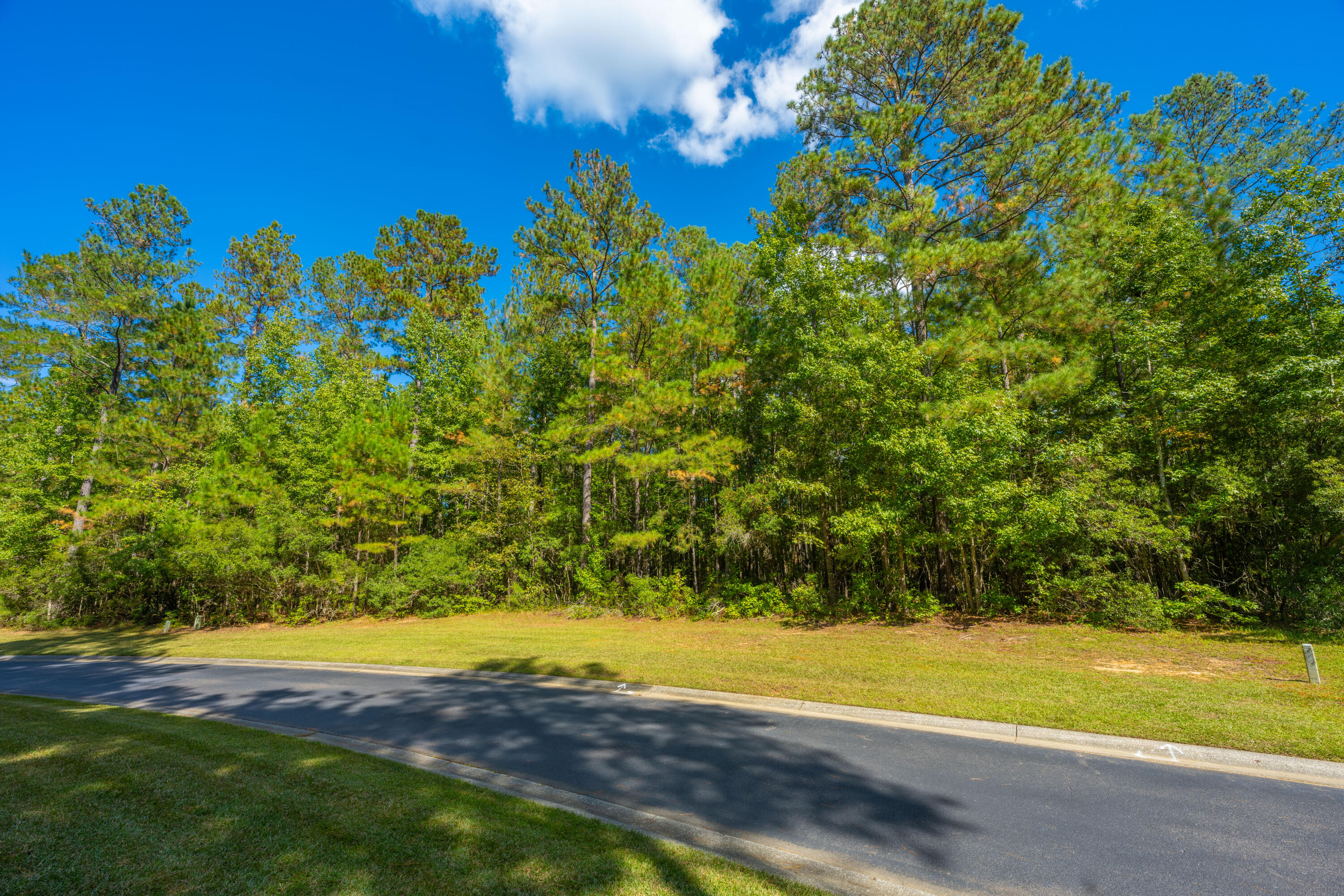 2012 Briar Bend Road Ridgeville, SC 29472 - Photo 9 of 42 2012BriarBendRd010