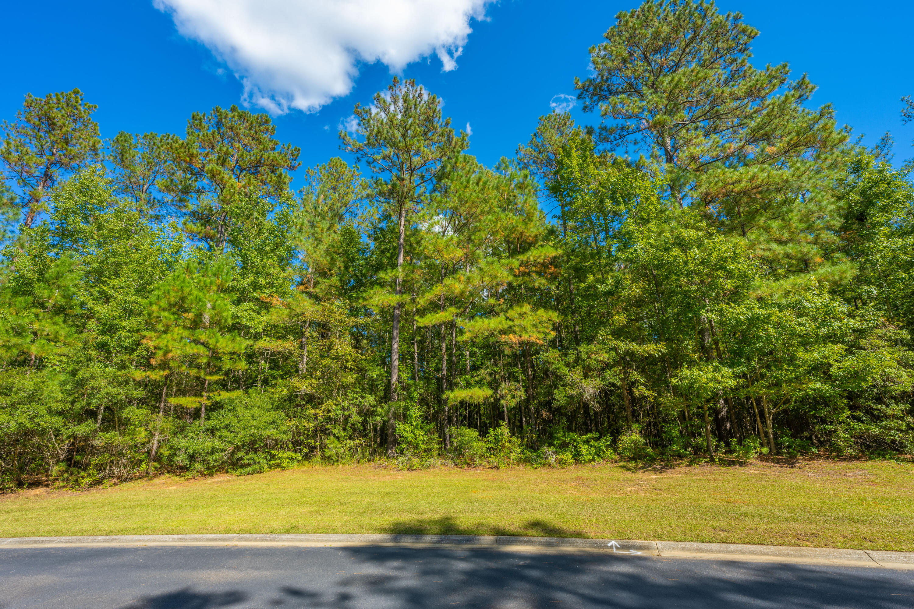 2012 Briar Bend Road Ridgeville, SC 29472 - Photo 10 of 42 2012BriarBendRd009