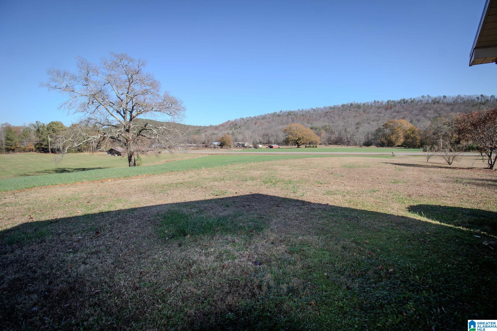 8983 Highway 9 Anniston, AL 36207 - Photo 3 of 44