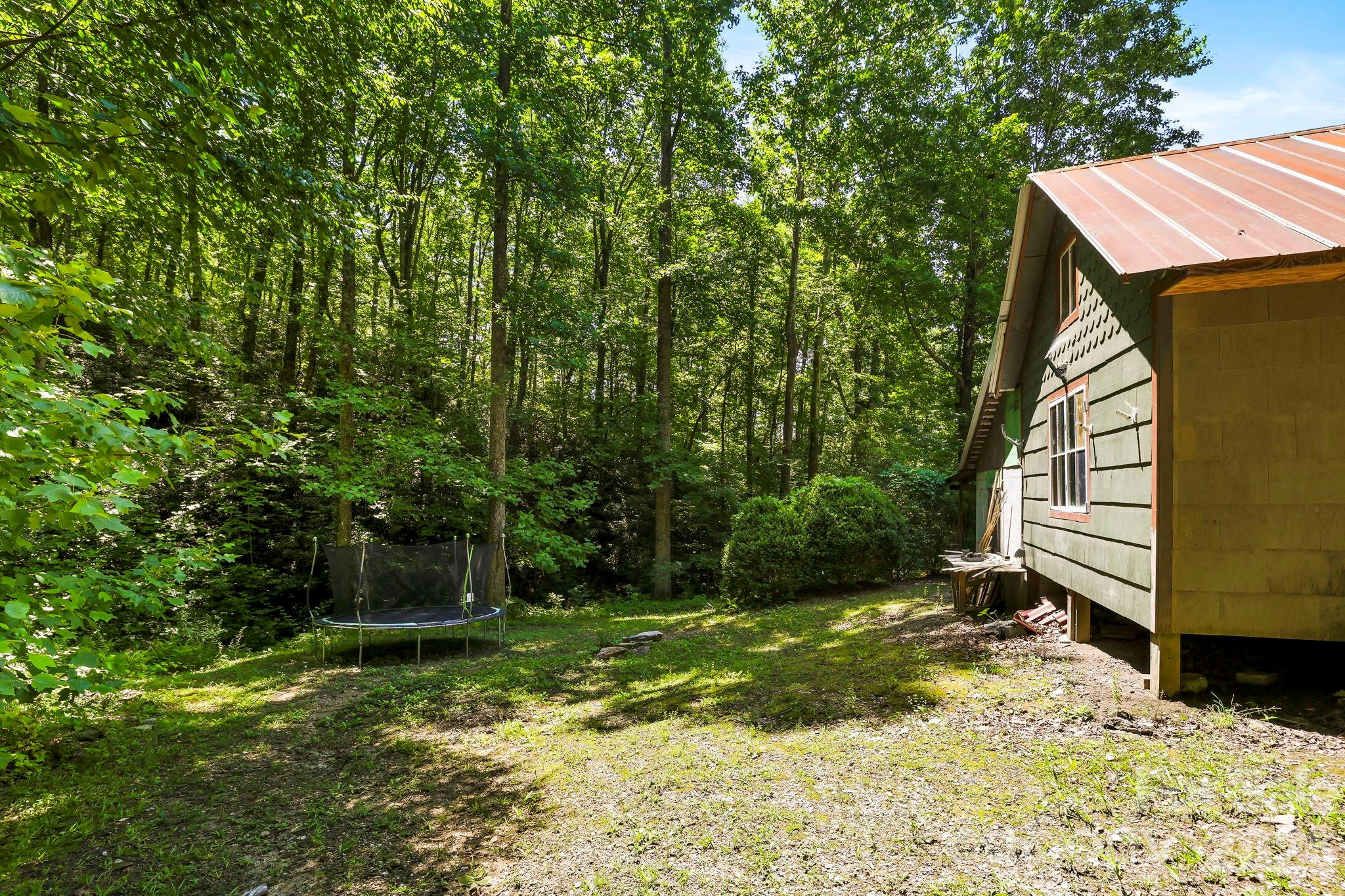 173 Camp Elliot Road Black Mountain, NC 28711 - Photo 40 of 41