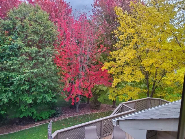 $519,900 | 13584 Aspen Drive, Rogers, MN 55374