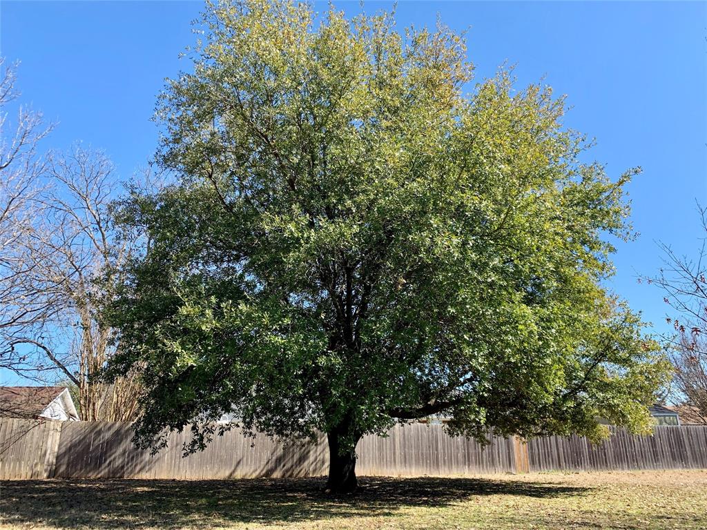 306 Pecan Street Howe, TX 75459 - Photo 33 of 36 Gallery Image 33
