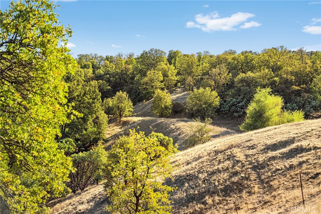 16925 Basler Road Cottonwood, CA 96022 - Photo 20 of 55 a view of a yard