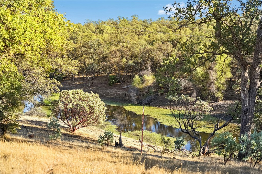 16925 Basler Road Cottonwood, CA 96022 - Photo 21 of 55 a view of lake from under tree