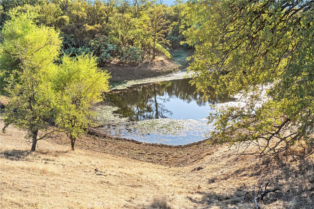 16925 Basler Road Cottonwood, CA 96022 - Photo 25 of 55 a view of a yard with a tree