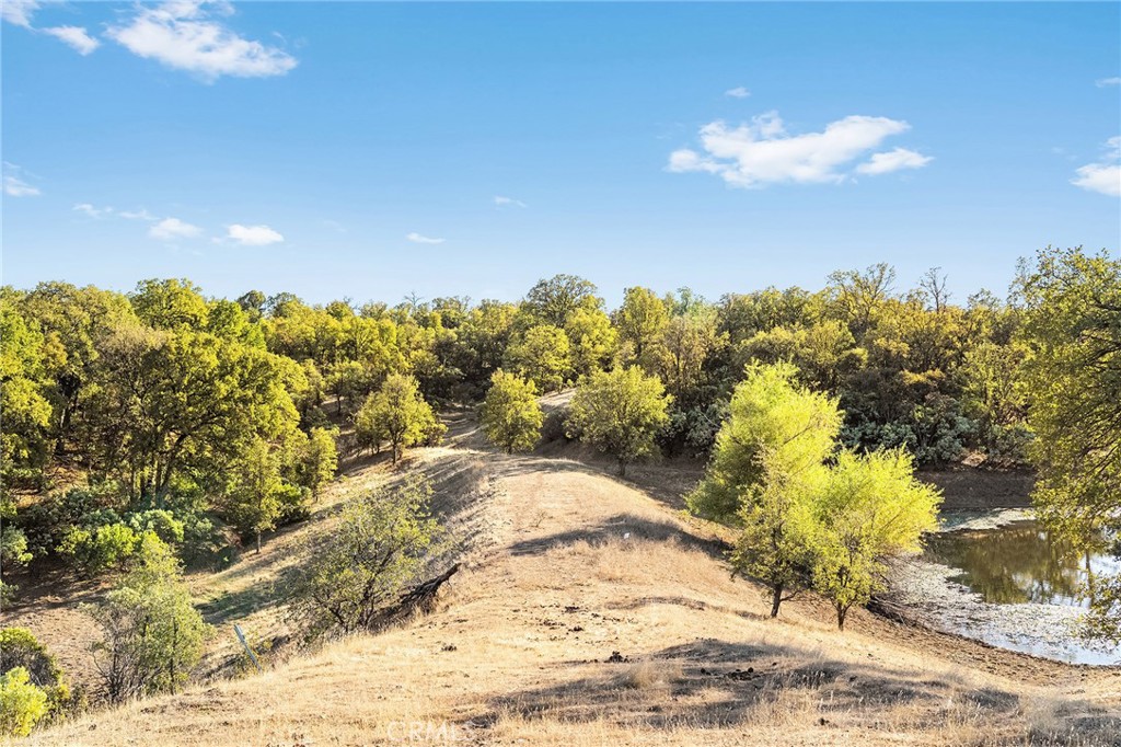 16925 Basler Road Cottonwood, CA 96022 - Photo 26 of 55 a view of a yard