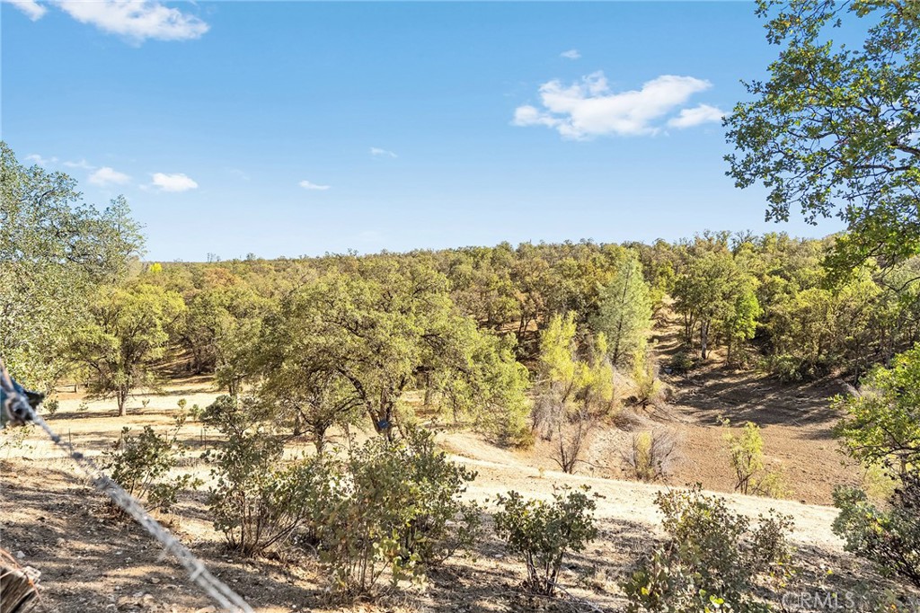 16925 Basler Road Cottonwood, CA 96022 - Photo 30 of 55 a view of ocean