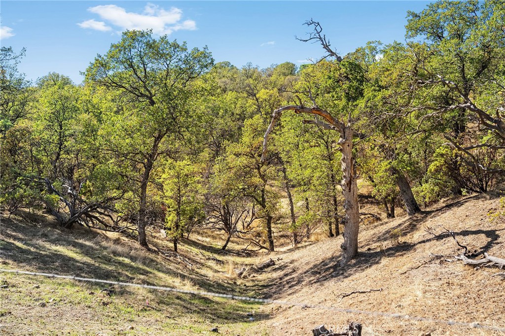 16925 Basler Road Cottonwood, CA 96022 - Photo 41 of 55 a view of a yard