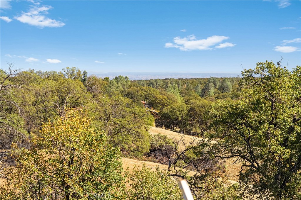 16925 Basler Road Cottonwood, CA 96022 - Photo 46 of 55 a view of a pathway both side of yard