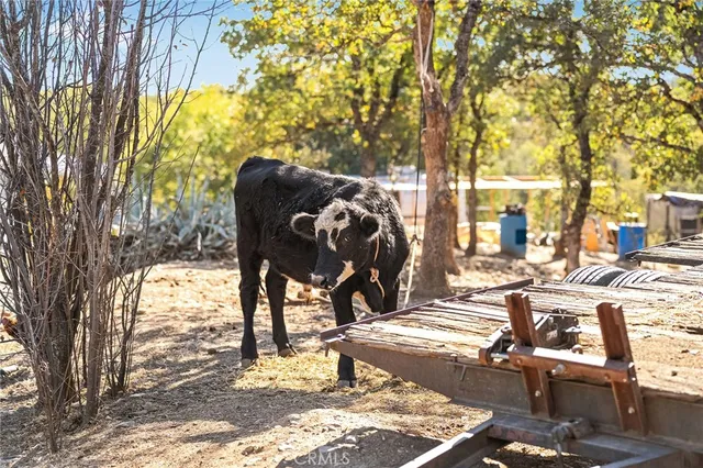a view of outdoor space with street view
