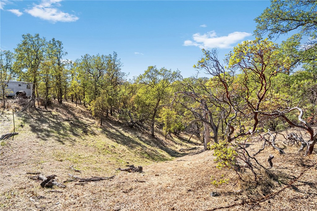 16925 Basler Road Cottonwood, CA 96022 - Photo 51 of 55 a view of a yard with a tree