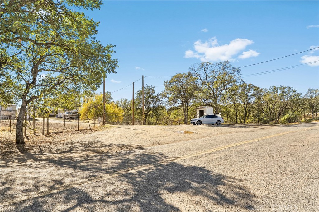16925 Basler Road Cottonwood, CA 96022 - Photo 52 of 55 a view of a yard with a tree