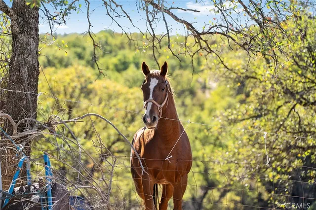 $180,000 | 16925 Basler Road, Cottonwood, CA 96022