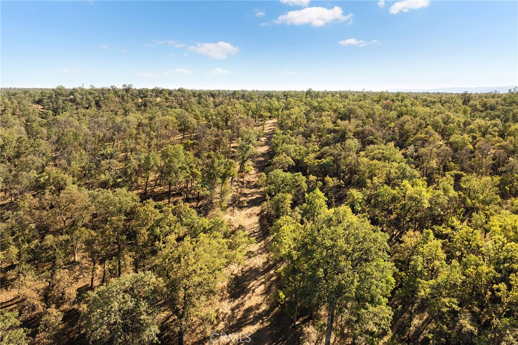 16925 Basler Road Cottonwood, CA 96022 - Photo 6 of 55 an aerial view of multiple house