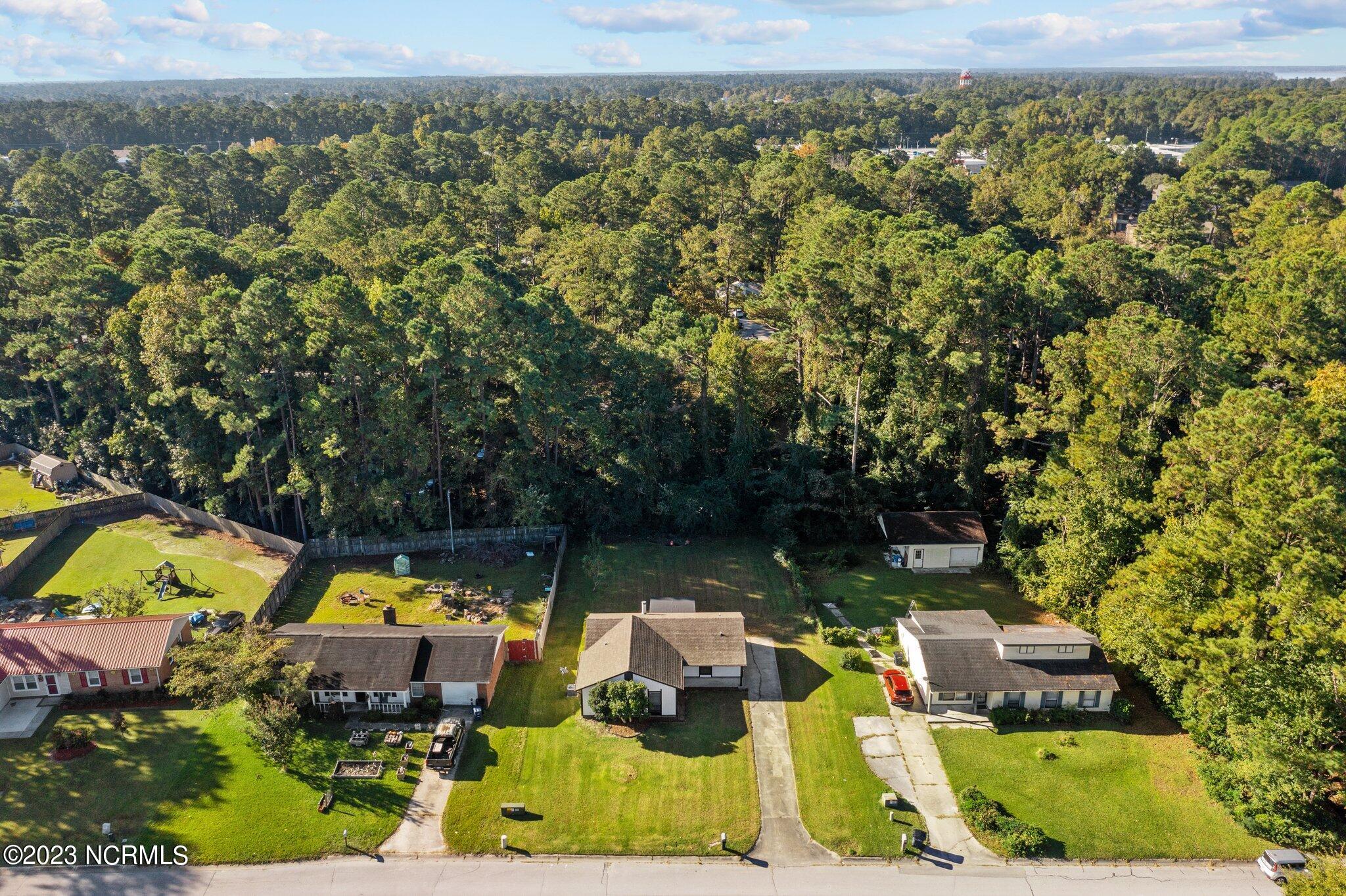 606 Brynn Marr Road Jacksonville, NC 28546 - Photo 11 of 54 13-web-or-mls-DJI_0641