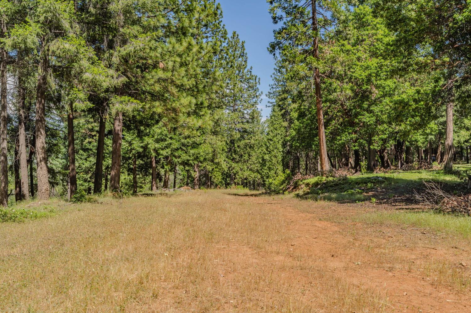 0 Schaefer Ranch Road Pioneer, CA 95666 - Photo 30 of 72