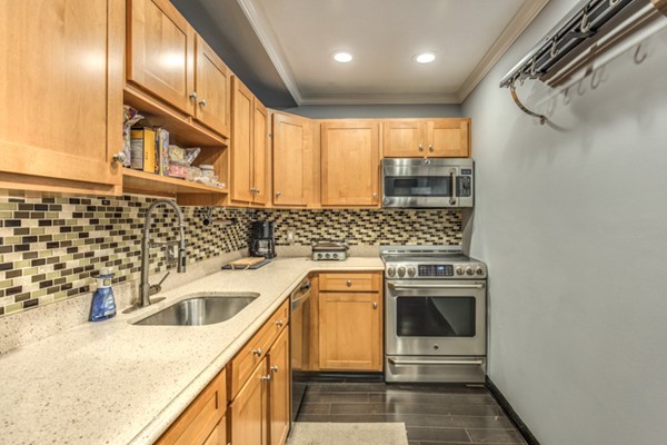 9 Appleton Street, Unit 308 Boston, MA 02116 - Photo 7 of 20 Gallery Image 7