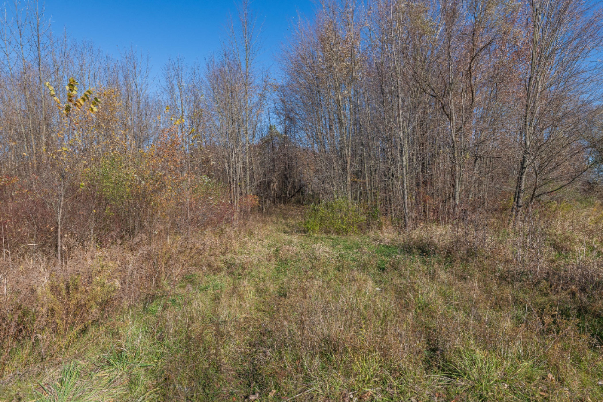 East Baseline Road Gobles, MI 49055 - Photo 8 of 34 3675 Baseline-27