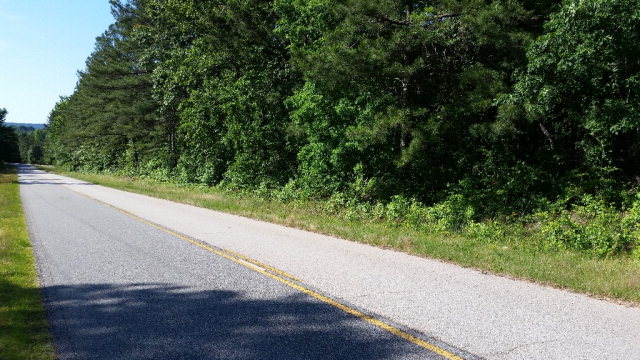 Lot 5 Baker Road Shiloh, GA 31826 - Photo 1 of 4 Main View