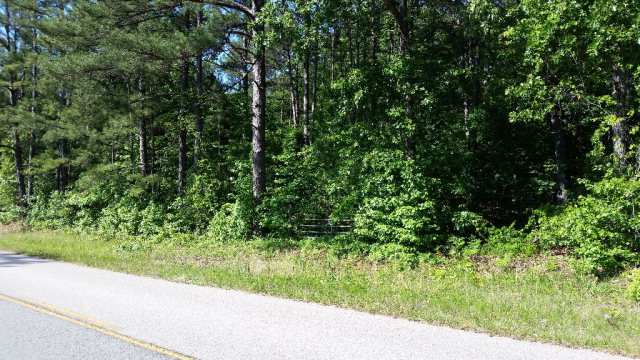 Lot 5 Baker Road Shiloh, GA 31826 - Photo 2 of 4 Gallery Image 2