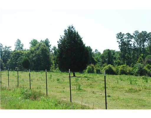 155 Moffett Annex Road Lucedale, MS 39452 - Photo 12 of 16 Additional Photo