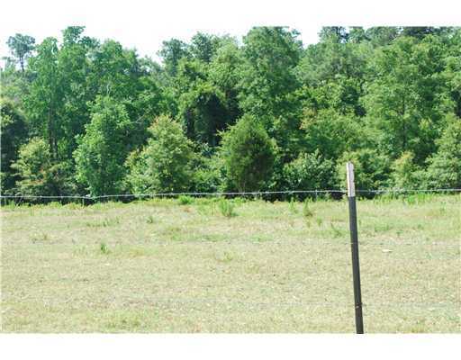 155 Moffett Annex Road Lucedale, MS 39452 - Photo 13 of 16 Additional Photo