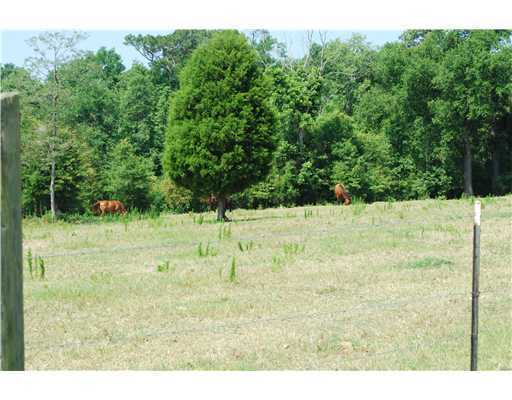 155 Moffett Annex Road Lucedale, MS 39452 - Photo 14 of 16 Additional Photo