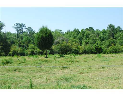 155 Moffett Annex Road Lucedale, MS 39452 - Photo 16 of 16 Additional Photo