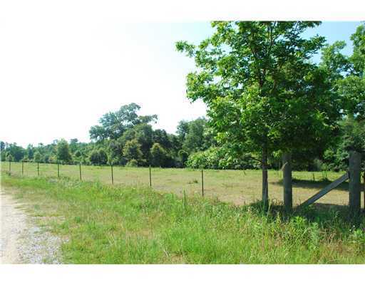 155 Moffett Annex Road Lucedale, MS 39452 - Photo 3 of 16 Additional Photo