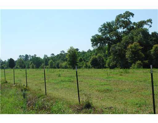 155 Moffett Annex Road Lucedale, MS 39452 - Photo 5 of 16 Additional Photo