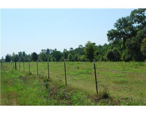 155 Moffett Annex Road Lucedale, MS 39452 - Photo 6 of 16 Additional Photo