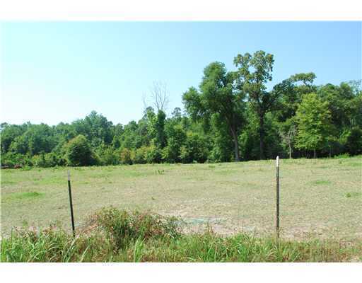 155 Moffett Annex Road Lucedale, MS 39452 - Photo 7 of 16 Additional Photo