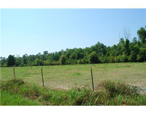 155 Moffett Annex Road Lucedale, MS 39452 - Photo 8 of 16 Additional Photo