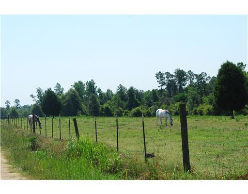 155 Moffett Annex Road Lucedale, MS 39452 - Photo 9 of 16 Additional Photo