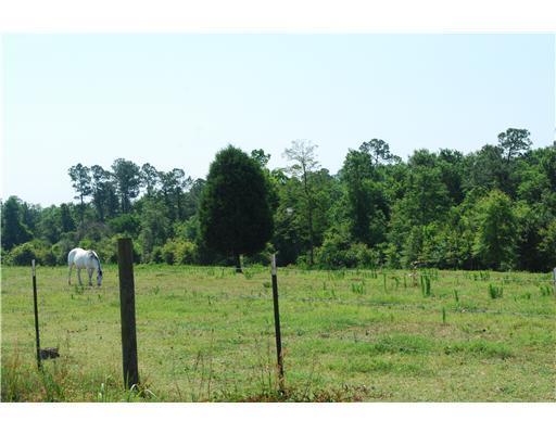 155 Moffett Annex Road Lucedale, MS 39452 - Photo 10 of 16 Additional Photo