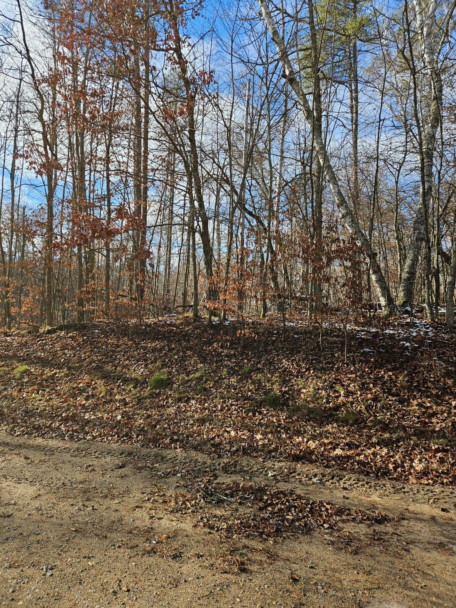 Lot 1 Racoon Lane Breezy Point, MN 56472 - Photo 1 of 6