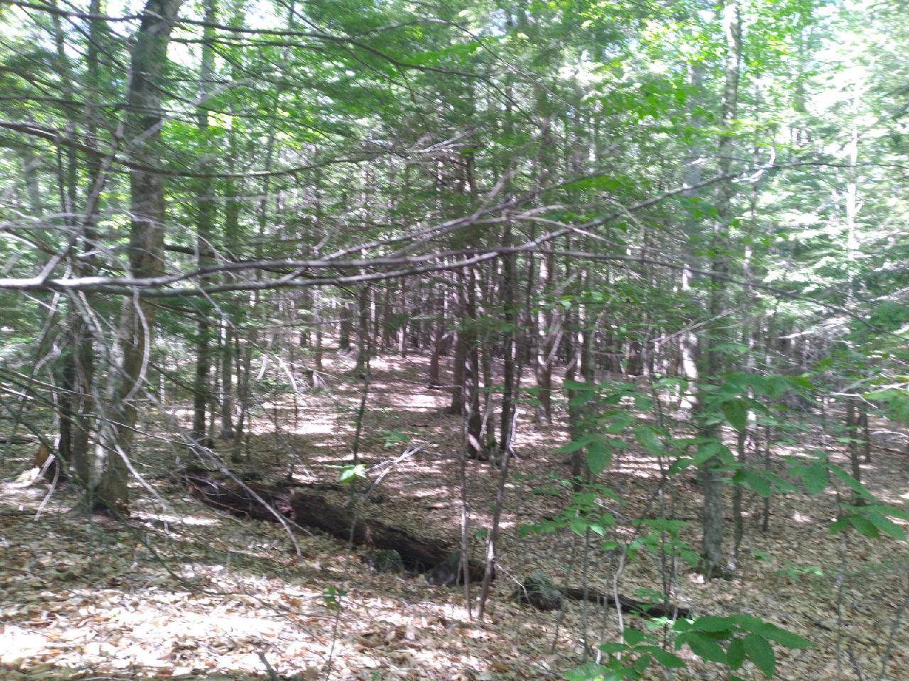 208-26 Hammond Road Deerfield, NH 03037 - Photo 3 of 5