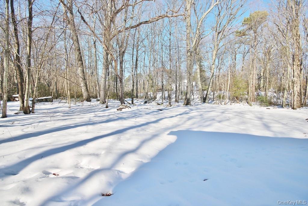 6 Buck Hill Road Wurtsboro, NY 12790 - Photo 42 of 43 a view of road with trees