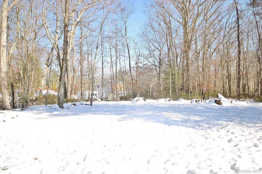 6 Buck Hill Road Wurtsboro, NY 12790 - Photo 9 of 43 a view of a backyard of a house