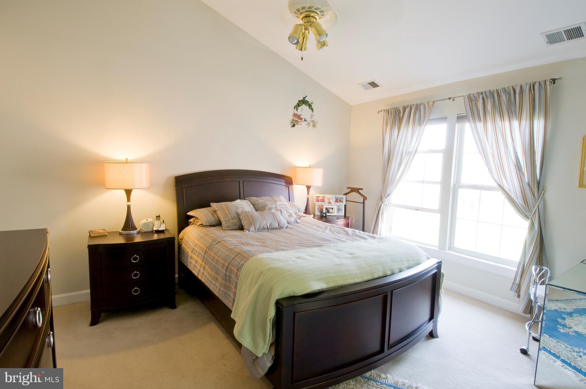 14205 Plum Run Way Silver Spring, MD 20906 - Photo 16 of 29 Vaulted ceiling, fan & large walk in