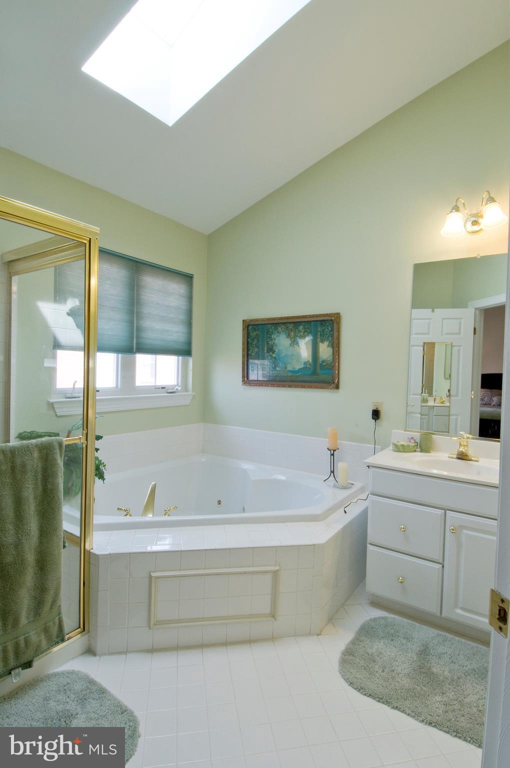 14205 Plum Run Way Silver Spring, MD 20906 - Photo 18 of 29 Luxurious spa-like bath